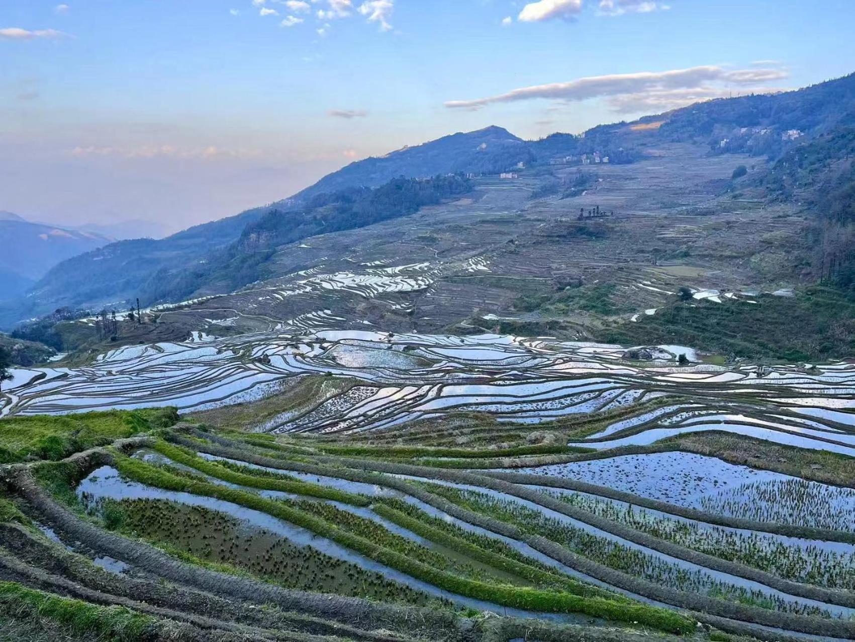 Yuanyang Flower And Horse Inn מראה חיצוני תמונה